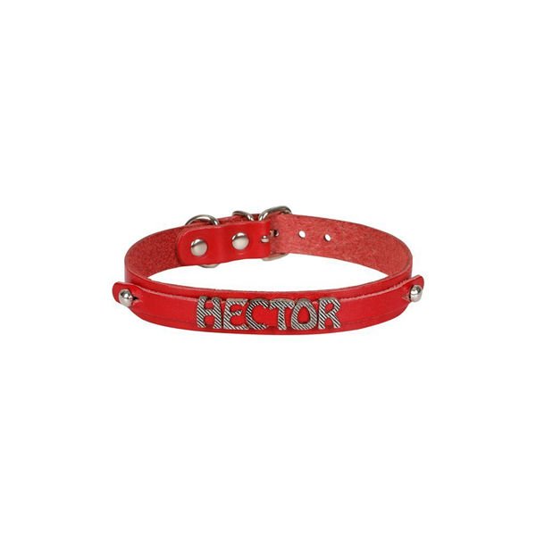 Cattie İsimlikli El Yapımı Gerçek Deri Kedi Boyun Tasması Xlarge Kırmızı 1.5x26-30 Cm