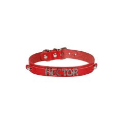 Cattie İsimlikli El Yapımı Gerçek Deri Kedi Boyun Tasması Xlarge Kırmızı 1.5x26-30 Cm