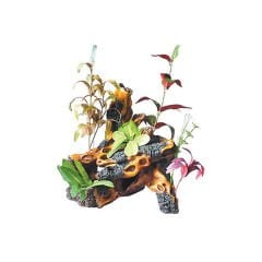 Dophin King Akvaryum Dekoru Bitkili Yapay Kütük 29x22x28.5 Cm