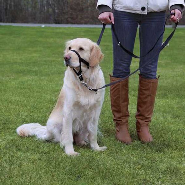 Trixie Köpek Uzman Eğitim Tasması Small 22 Cm