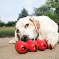 Kong Goodie Ribbon Çoklu Top Şeklinde Köpek Oyuncağı Medium Kırmızı