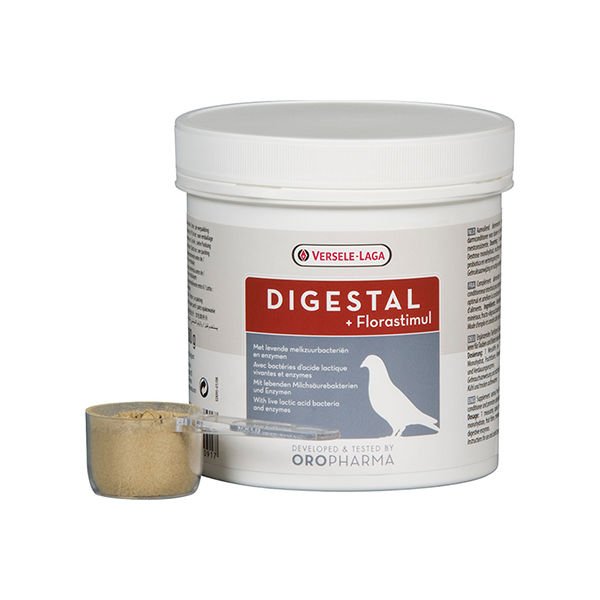 Versele Laga Güvercin Probiyotik Bağşıklık Düzenleyici 300 Gr