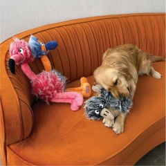 Kong Comfort Jumbo Bird Flamingo Şeklinde Peluş Köpek oyuncağı Xlarge