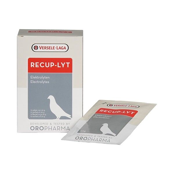 Versele Laga Güvercin Yarış Güvercini Elektrolik Destekli