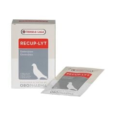 Versele Laga Güvercin Yarış Güvercini Elektrolik Destekli