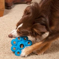 Kong Quest Star Çiçek Şeklinde Köpek Oyuncağı Small