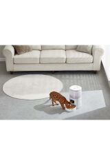 Pawgether F2S Otomatik Mama Kabı 4L WİFİ Versiyon