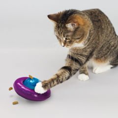 Kong İnfused Cat Gyro Kediotlu ve Zilli Kedi Top Oyuncağı