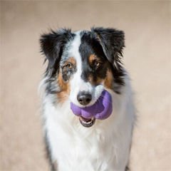 Kong Senior Kauçuk Yaşlı Köpek Oyuncağı Large