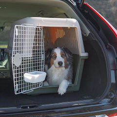 Ferplast Atlas 50 Köpek Taşıma Çantası Yeşil 55.5x81x59.5 Cm