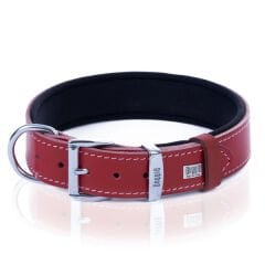 Doggie Comfort Deri Kemik Desenli Köpek Boyun Tasması Medium Kırmızı 4x52-60 Cm