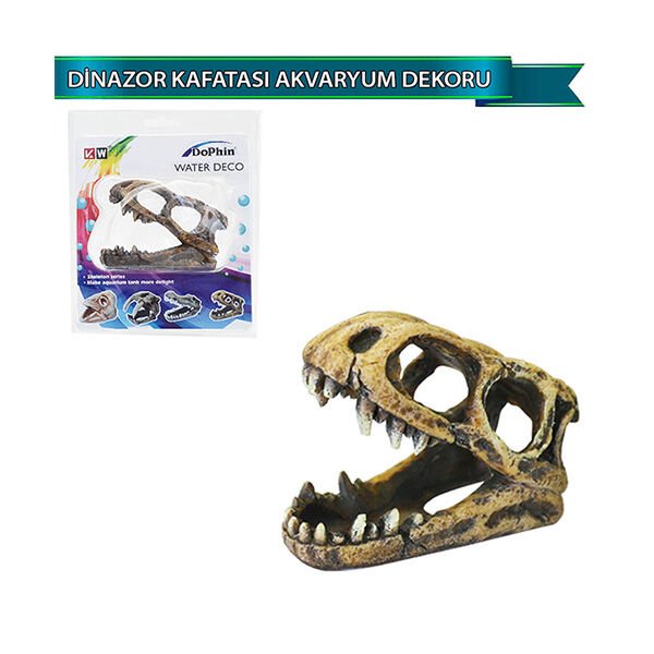 Dophin Dinazor Kafatası Figürlü Akvaryum Dekoru
