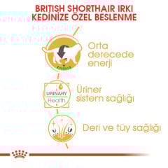 Royal Canin British Shorthair Adult Pouch Konserve Kedi Maması 85 Gr