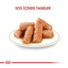 Royal Canin British Shorthair Adult Pouch Konserve Kedi Maması 85 Gr