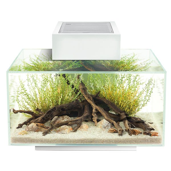 Fluval Edge2 Akvaryum 23 Lt Beyaz 43x26x35.5 Cm