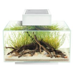 Fluval Edge2 Akvaryum 23 Lt Beyaz 43x26x35.5 Cm
