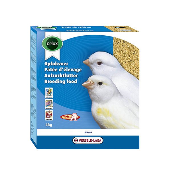 Versele Laga Bianco Beyaz Kanarya için Kuş Maması 5 Kg