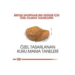Royal Canin British Shorthair Adult Yetişkin Kedi Maması 400 Gr