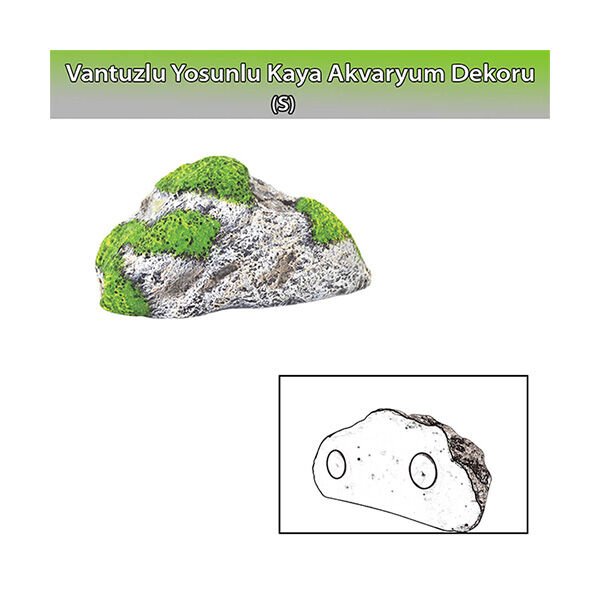 Dophin Yosunlu Kaya Akvaryum Dekoru Small