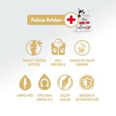 Felicia Kuzulu Pirinçli Düşük Tahıllı Hipoalerjenik Köpek Maması 15 kg