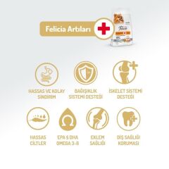 Felicia Mini Somonlu Düşük Tahıllı Hipoalerjenik Köpek Maması 3 kg