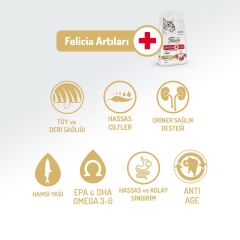 Felicia Kuzu Etli Az Tahıllı HypoAllergenic Yetişkin Kedi Maması 2 kg