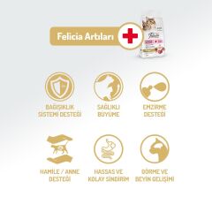 Felicia Kuzu Etli Düşük Tahıllı Yavru ve Hamile Kedi Maması 2 kg