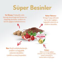 Felicia Kuzu Etli Düşük Tahıllı Yavru ve Hamile Kedi Maması 2 kg