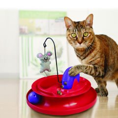 Kong Kedi Oyun Bahçesi 24 Cm