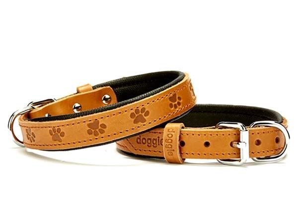 Doggie Comfort Deri Pati Desenli Köpek Boyun Tasması Medium Camel 2x35-40 Cm