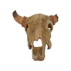 Dophin King Akvaryum Dekoru Boğa Kafası