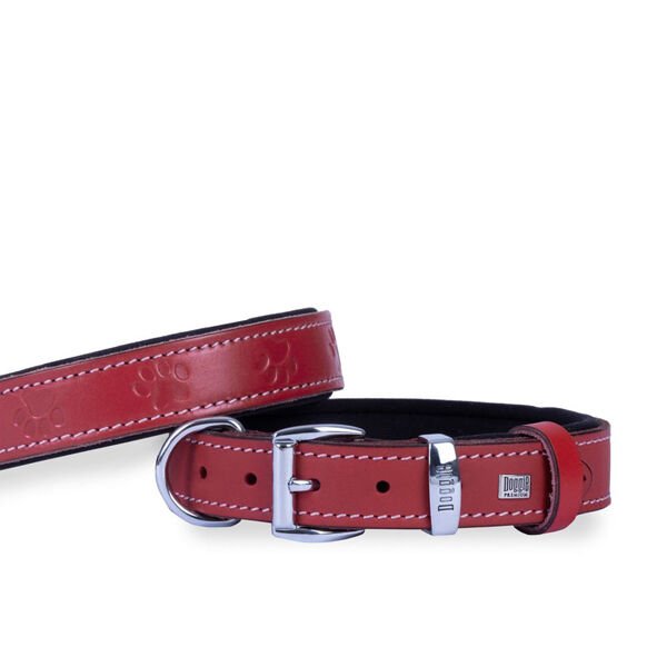 Doggie Comfort Deri Pati Desenli Köpek Boyun Tasması Medium Kırmızı 3x42-50 Cm