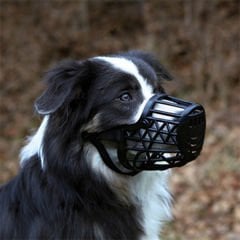 Trixie Köpek Plastik Ağızlık Small 18 Cm