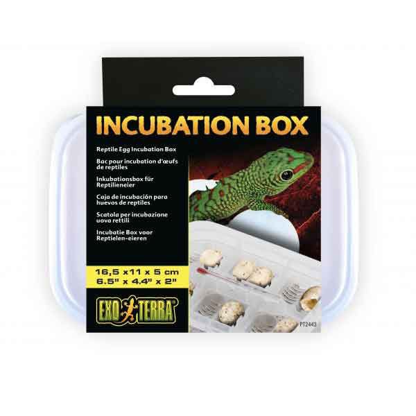 Exo Terra Incubation Sürüngen Box 30x30x30 Cm