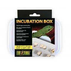 Exo Terra Incubation Sürüngen Box 30x30x30 Cm