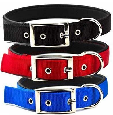 Pet Style Yumuşak Doku Köpek Boyun Tasması Xl Mavi