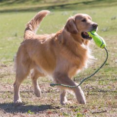 Kong Air Dog Fetch Stick İpli Sesli Tenis Topu Köpek Oyuncağı Sarı 28 Cm