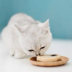 Schesir Delice Tuna Balıklı ve Kuzu Etli Yetişkin Konserve Kedi Maması 2 Adet 40 Gr