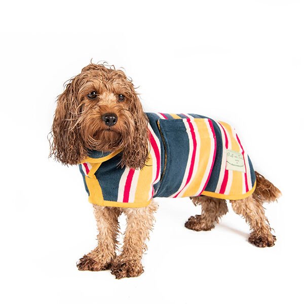 Ruff & Tumble Çizgi Desenli Süper Emici Pamuklu Köpek Bornozu Plaj Xlarge 64-72 Cm