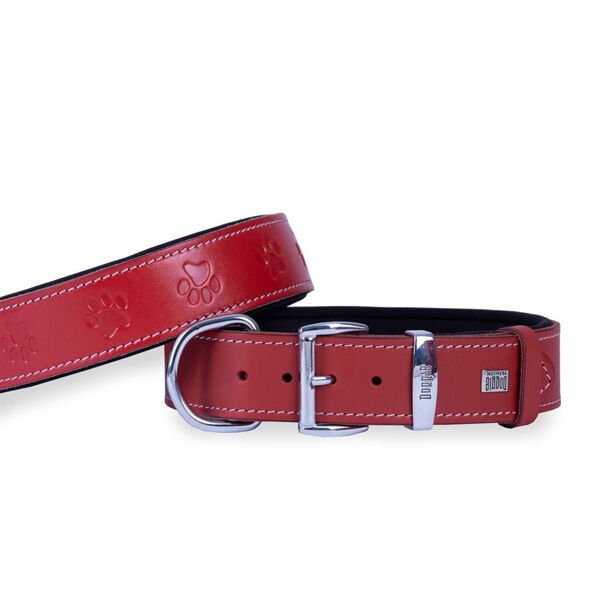 Doggie Comfort Deri Pati Desenli Köpek Boyun Tasması Small Kırmızı 4x47-55 Cm