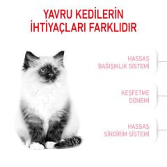 Royal Canin Kitten Yavru Kedi Maması 400 Gr