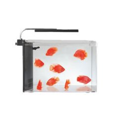 Aquasyncro Clarity Filtreli ve Işıklı Nano Akvaryum 36x24x25 Cm