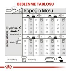 Royal Canin Mini Exigent Adult Yetişkin Köpek Maması 3 Kg