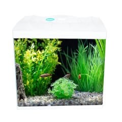 Euro Star Akdeniz Akvaryum Beyaz Led 7W 60x30x56 Cm