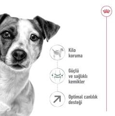Royal Canin Mini Adult 8+ Küçük Irk Yaşlı Köpek Maması 2 Kg