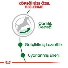 Royal Canin Mini Adult 8+ Küçük Irk Yaşlı Köpek Maması 2 Kg