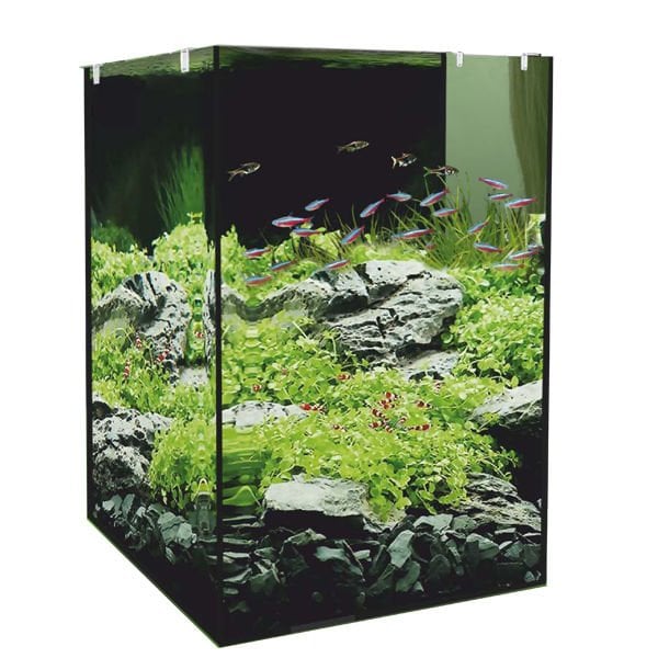Euro Star Nano 45 Arka Filtreli Akvaryum 35x30x44.5 Cm