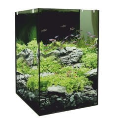 Euro Star Nano 45 Arka Filtreli Akvaryum 35x30x44.5 Cm