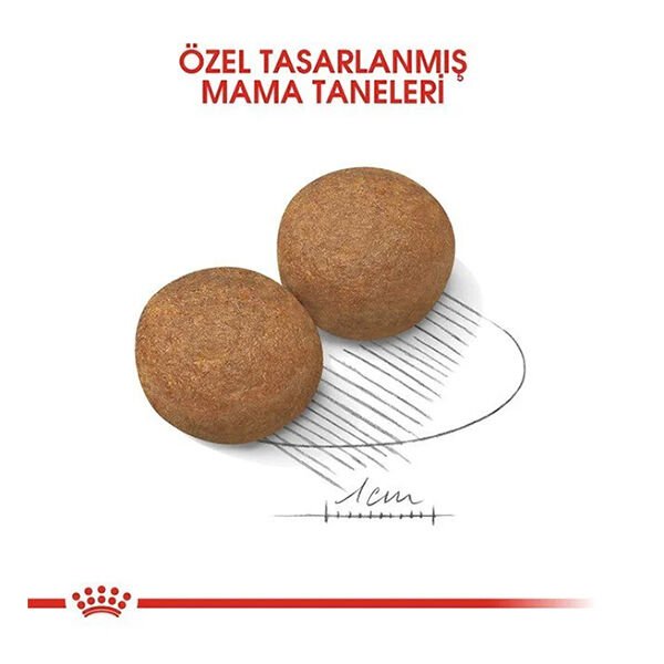 Royal Canin Maxi Adult Büyük Irk Yetişkin Köpek Maması 15 Kg
