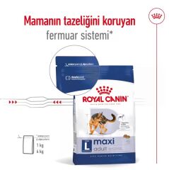 Royal Canin Maxi Adult Büyük Irk Yetişkin Köpek Maması 15 Kg